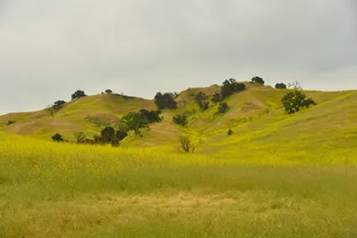 DSC_6296 (Large).JPG